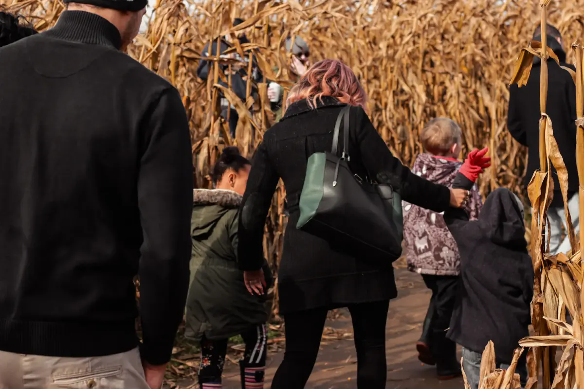 Families and friends walking through a fall corn maze, highlighting fun and sober Halloween activities in Texas.