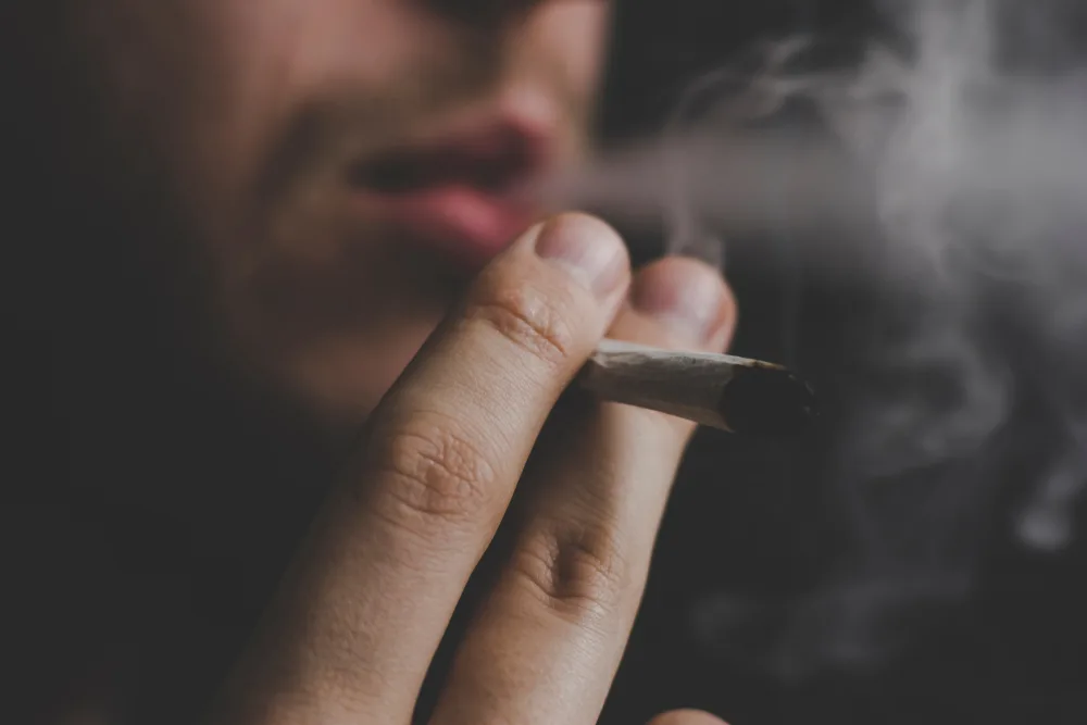 cannabis-marijuana-joint-blunt-tobacco-use-dangers-of-natural-drugs-addiction-dependence-brain-reward-system-addictive-substances