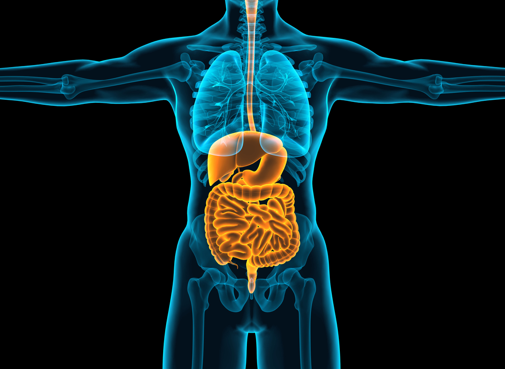 how-does-leaky-gut-syndrome-contribute-to-depression-gut-microbiota-alcohol-increase-the-risk-for-problems-with-digestive-system