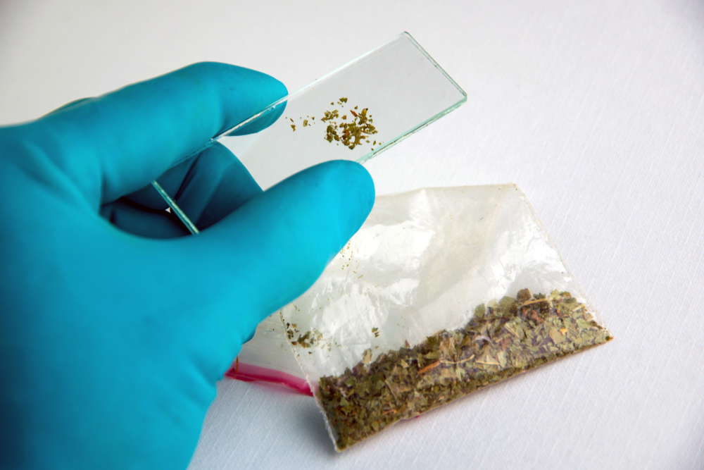 synthetic-cannabinoids-spice-legal-highs-dangerous-addiction-recovery-phenibut-risks-kratom-addiction-signs